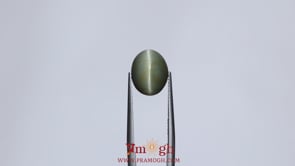 Catseye - 6.3 Carat