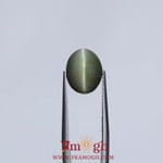Catseye - 6.3 Carat