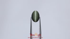 Catseye - 5.45 Carat