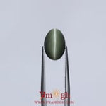 Catseye - 5.45 Carat