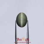 Catseye - 10.05 Carat