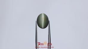 Catseye - 6.7 Carat