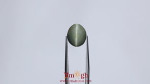 Catseye - 5.8 Carat