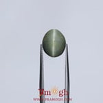 Catseye - 5.8 Carat