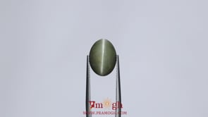 Catseye - 6.4 Carat