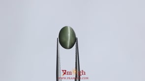 Catseye - 5.2 Carat