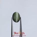 Catseye - 5.2 Carat