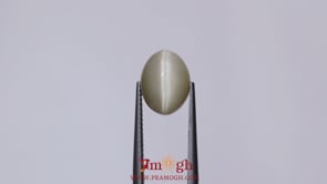 Catseye - 5.1 Carat
