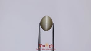 Catseye - 5.55 Carat