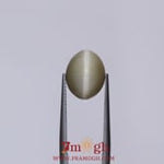 Catseye - 5.55 Carat