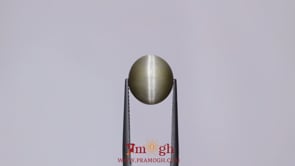 Catseye - 6.1 Carat