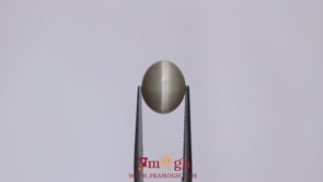 Catseye - 5.4 Carat