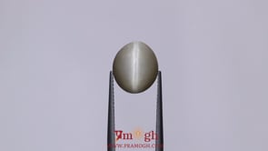 Catseye - 6.8 Carat