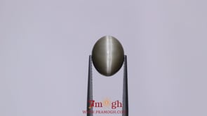 Catseye - 7.4 Carat