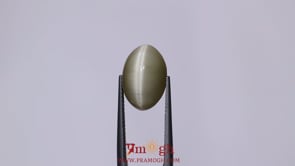 Catseye - 6.9 Carat