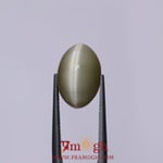 Catseye - 6.9 Carat