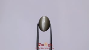 Catseye - 7.05 Carat