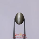 Catseye - 7.05 Carat