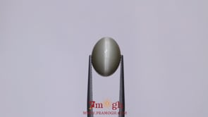 Catseye - 6.35 Carat