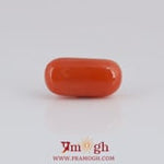 Red Coral - 4.05 Carat