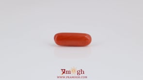 Red Coral - 4.1 Carat