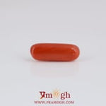 Red Coral - 4.1 Carat