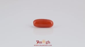 Red Coral - 3.85 Carat
