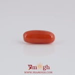 Red Coral - 3.85 Carat