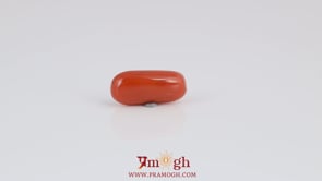 Red Coral - 4.1 Carat