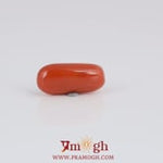Red Coral - 4.1 Carat