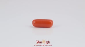 Red Coral - 4.12 Carat