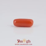 Red Coral - 4.12 Carat