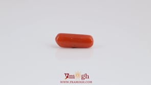 Red Coral - 3.65 Carat