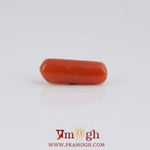 Red Coral - 3.65 Carat
