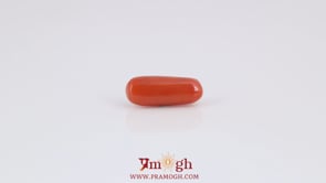 Red Coral - 3.65 Carat