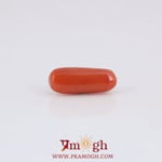 Red Coral - 3.65 Carat