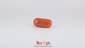 Red Coral - 3.85 Carat