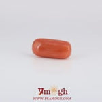 Red Coral - 3.85 Carat