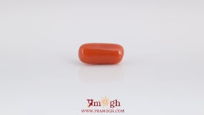 Red Coral - 3.65 Carat