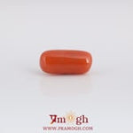 Red Coral - 3.65 Carat
