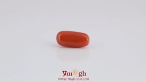Red Coral - 3.7 Carat