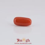 Red Coral - 3.7 Carat