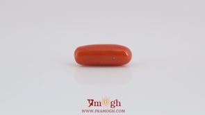 Red Coral - 5.85 Carat