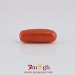 Red Coral - 5.85 Carat