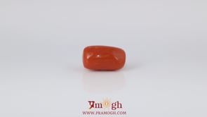 Red Coral - 5.45 Carat