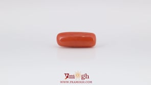 Red Coral - 5.75 Carat