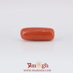 Red Coral - 5.75 Carat