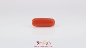 Red Coral - 5.25 Carat