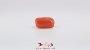 Red Coral - 4.83 Carat