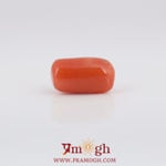 Red Coral - 4.83 Carat